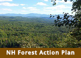 NH Forest Action Plan